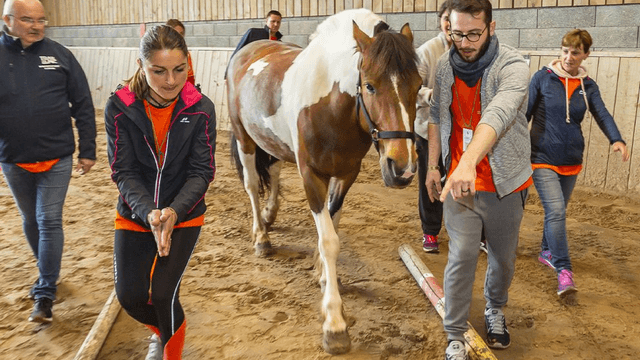 Randonnée à cheval